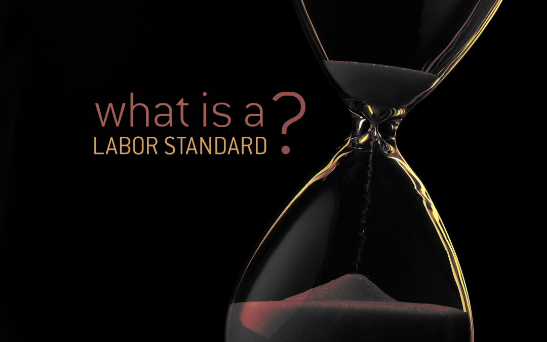 What is a Labor Standard?