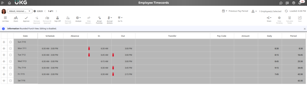 A toggled screen of the Timecard Rounded Punch View